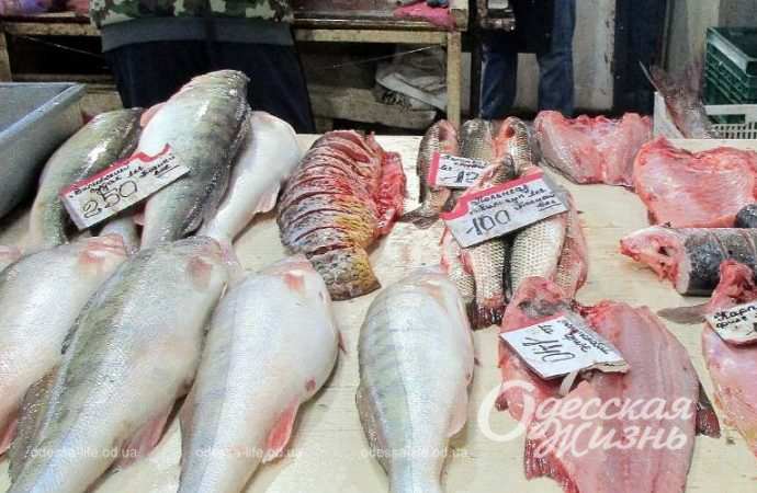 Привоз 8.12. Котова