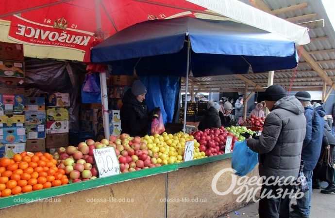 Привоз 8.12. Котова