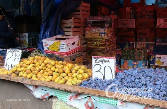 Привоз 8.12. Котова