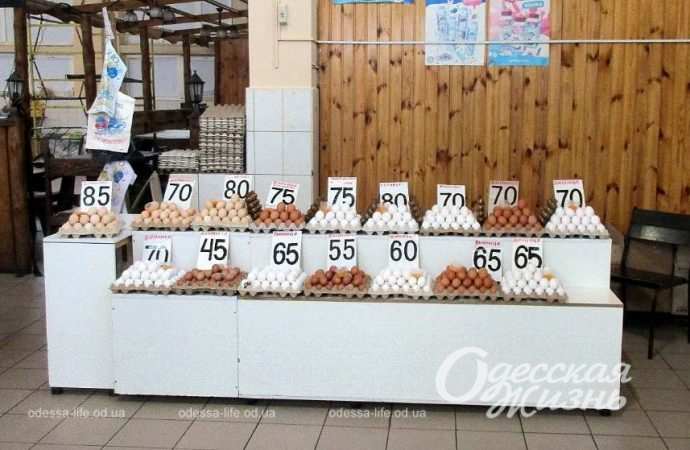 Привоз 8.12. Котова