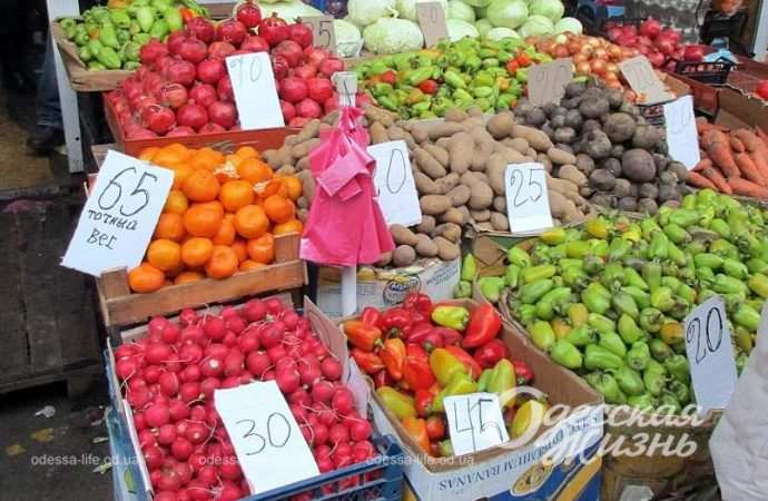 Привоз 8.12. Котова