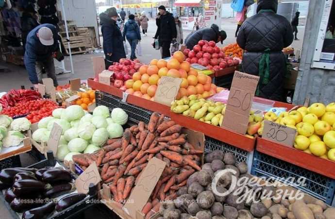 Привоз 8.12. Котова