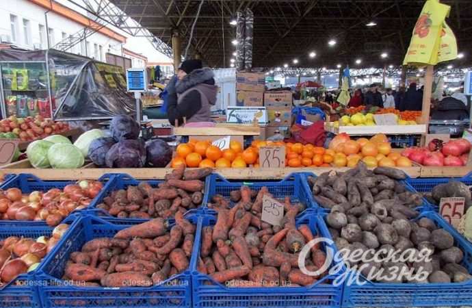 Привоз 8.12. Котова