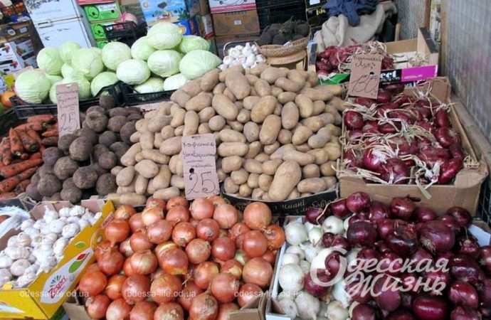 Привоз 8.12. Котова