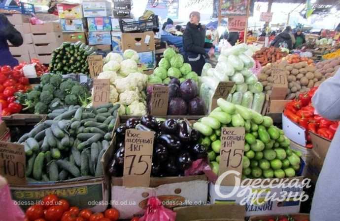 Привоз 8.12. Котова