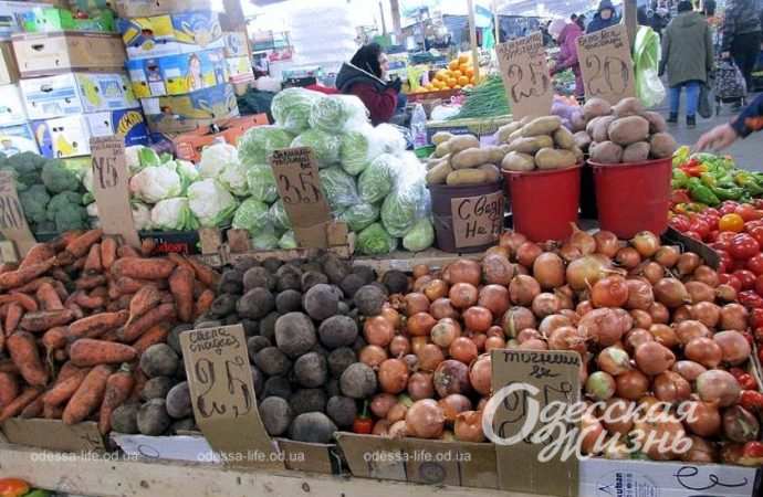 Привоз 8.12. Котова