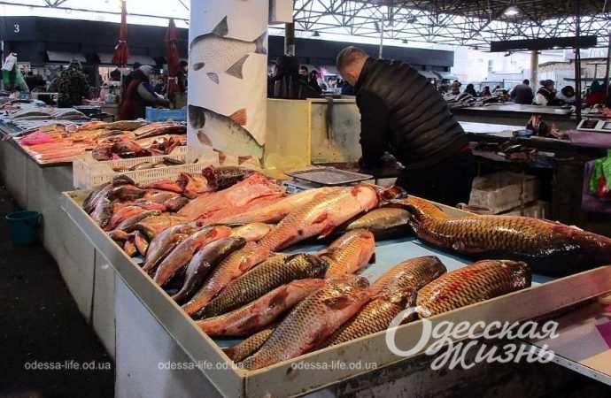 Привоз 8.12. Котова