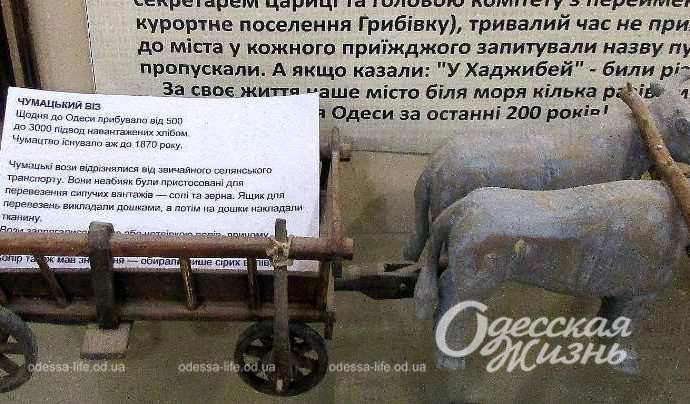 Старая Одесса. Котова