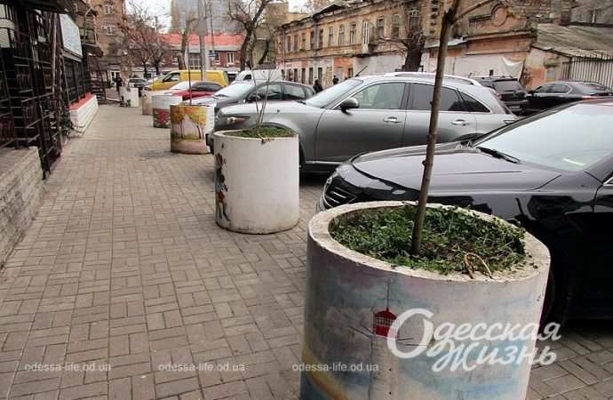 Цветник на Старорезничной3