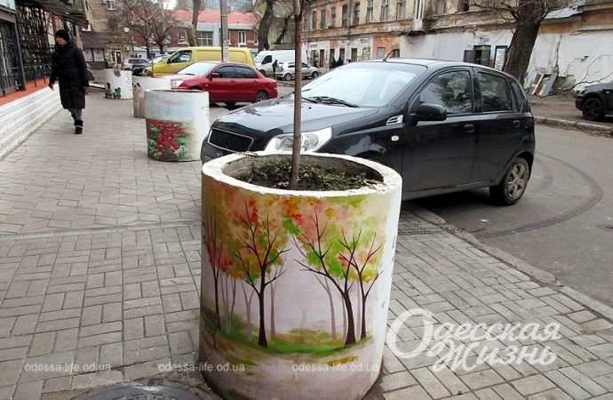 Цветник на Старорезничной4