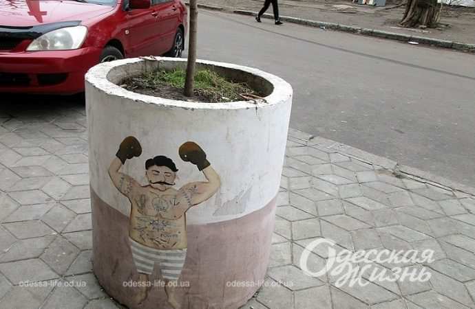 Цветник на Старорезничной5