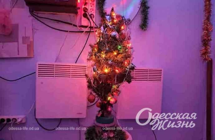 Новый год в одесском убежище