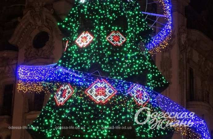 Главная елка. Котова