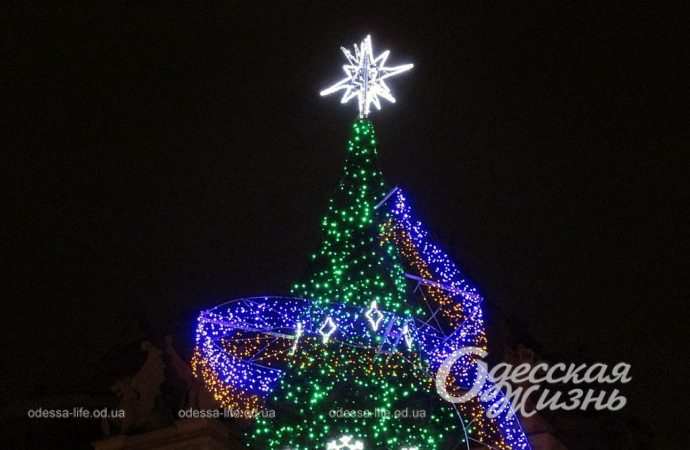 Главная елка. Котова