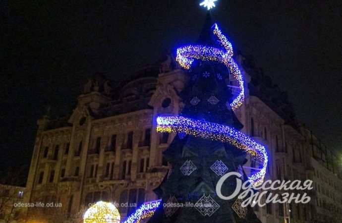 Главная елка. Котова