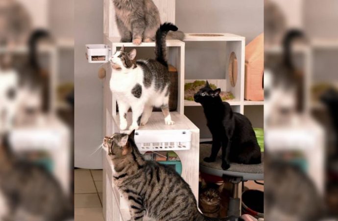 Зорко одно лишь сердце