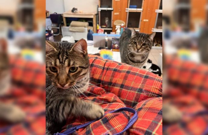 Зорко одно лишь сердце