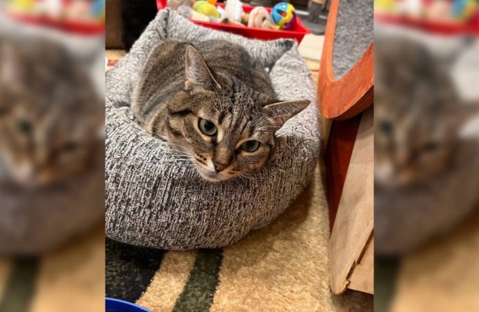 Зорко одно лишь сердце