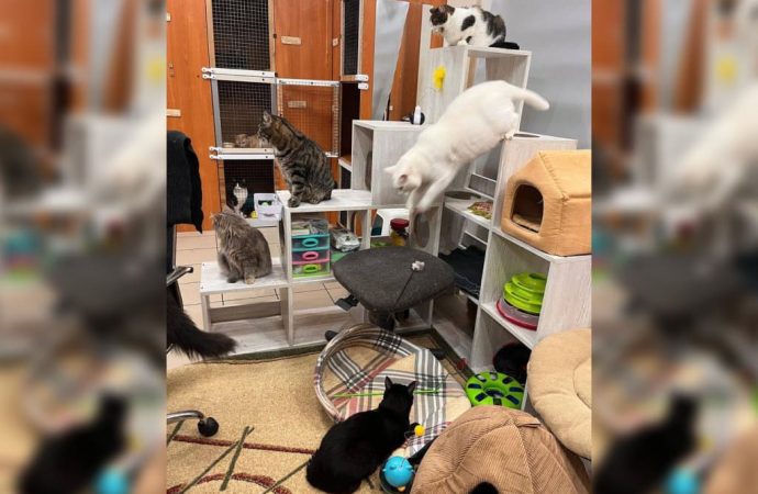 Зорко одно лишь сердце