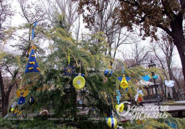 Елки в Горсаду. Котова