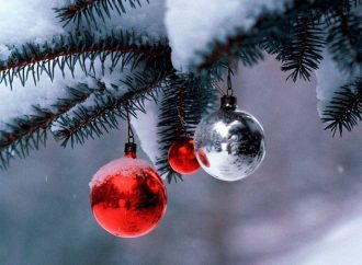 Не на часі: одне з міст Одещини відмовилося від новорічної ялинки