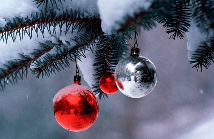 Не ко времени: один из городов Одесщины отказался от новогодней елки