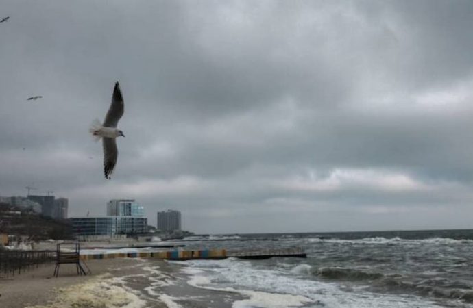 Погода в Одессе: утешителен ли прогноз на 14 января