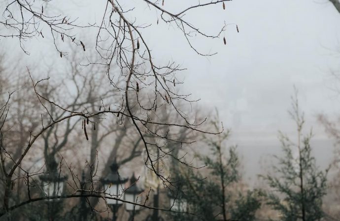Погода в Одесі 23 грудня: вночі й на ранок обіцяють похолодання