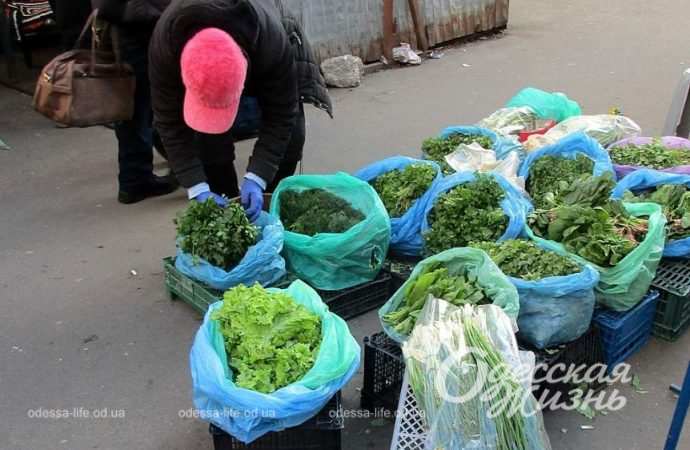 Привоз 22.12. Котова.