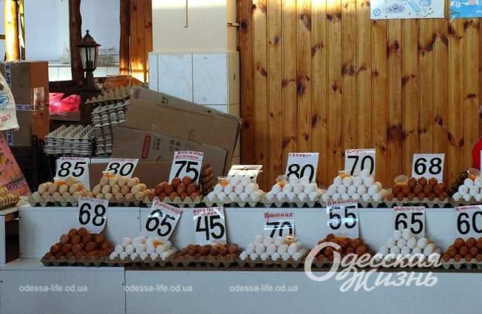 Привоз 22.12. Котова.