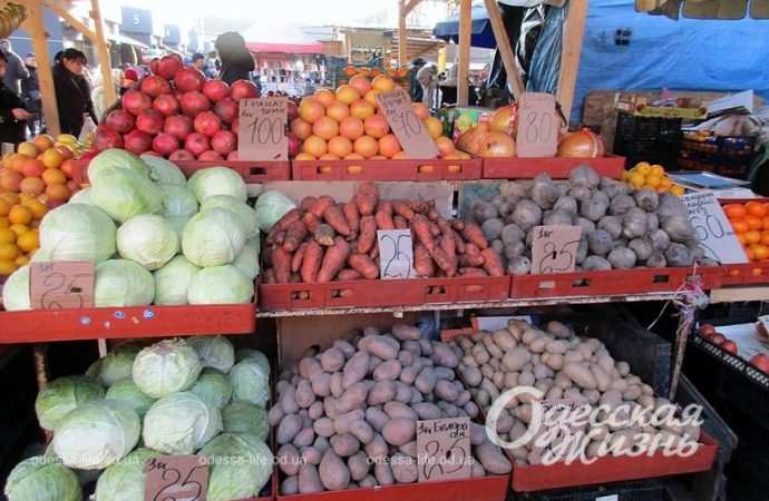 Привоз 22.12. Котова.