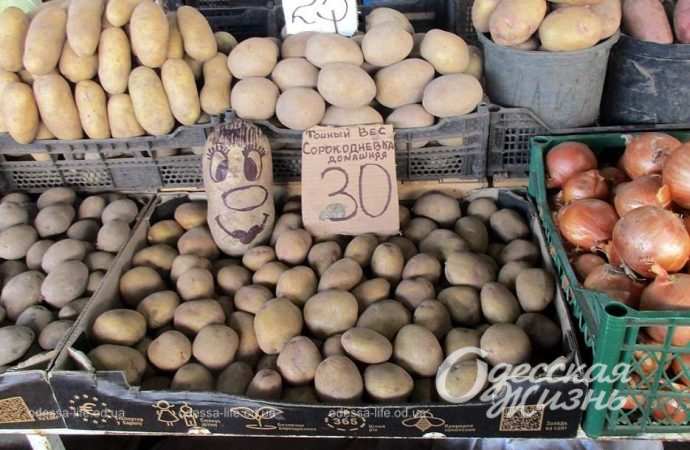 Цены на Привозе 22 декабря: картофель с мордочкой и как готовить свиные пятачки (фоторепортаж)