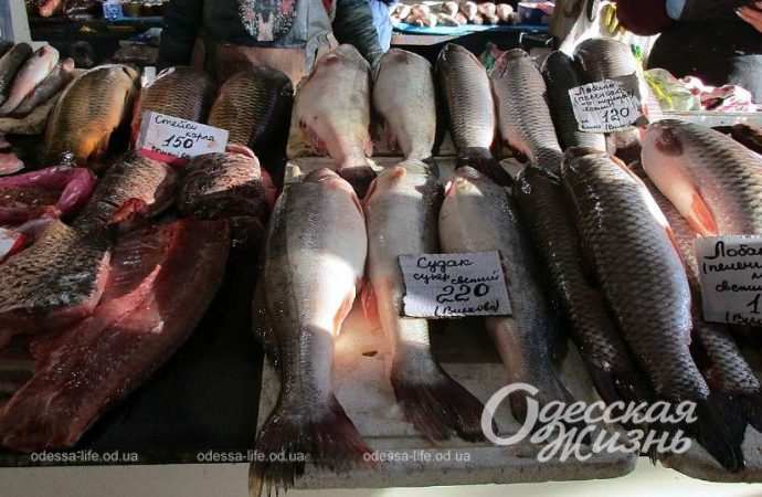 Привоз 22.12. Котова.