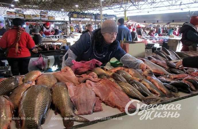 Привоз 22.12. Котова.