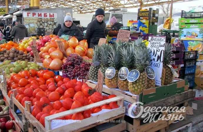 Привоз 22.12. Котова.