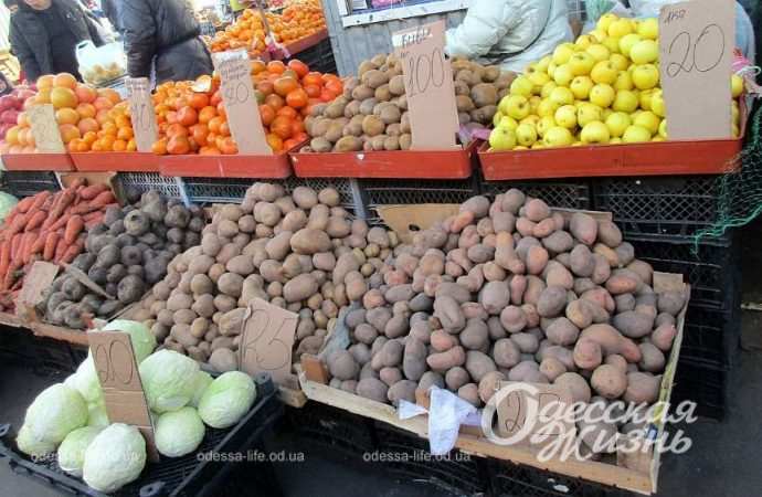 Привоз 22.12. Котова.