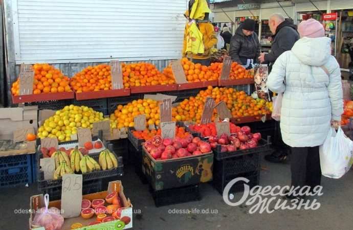 Привоз 22.12. Котова.