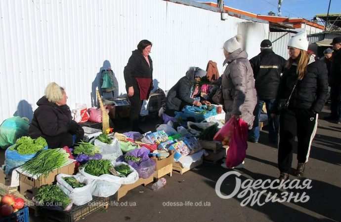 Привоз 22.12. Котова.