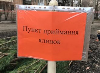 Здати ялинки після свят можна одеським комунальникам: ті використовують їх з користю (адреси)