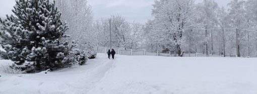 Снежная сказка на севере Одесской области в середине зимы: фоторепортаж из Балты