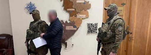 Задержание в Одесской ОВА: в чем обвиняют главу сельсовета