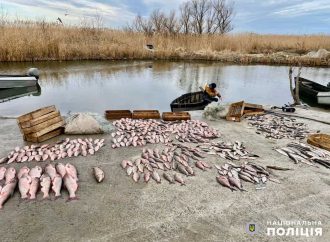 В Одесской области рыбаки незаконно наловили рыбы на 1,5 миллиона гривен