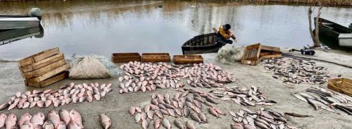В Одесской области рыбаки незаконно наловили рыбы на 1,5 миллиона гривен