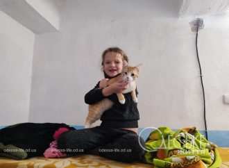 Фото дня: поранене росіянами кошеня та його маленька господарка чекають на відбій тривоги в одеському укритті 