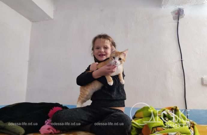 Фото дня: поранене росіянами кошеня та його маленька господарка чекають на відбій тривоги в одеському укритті 