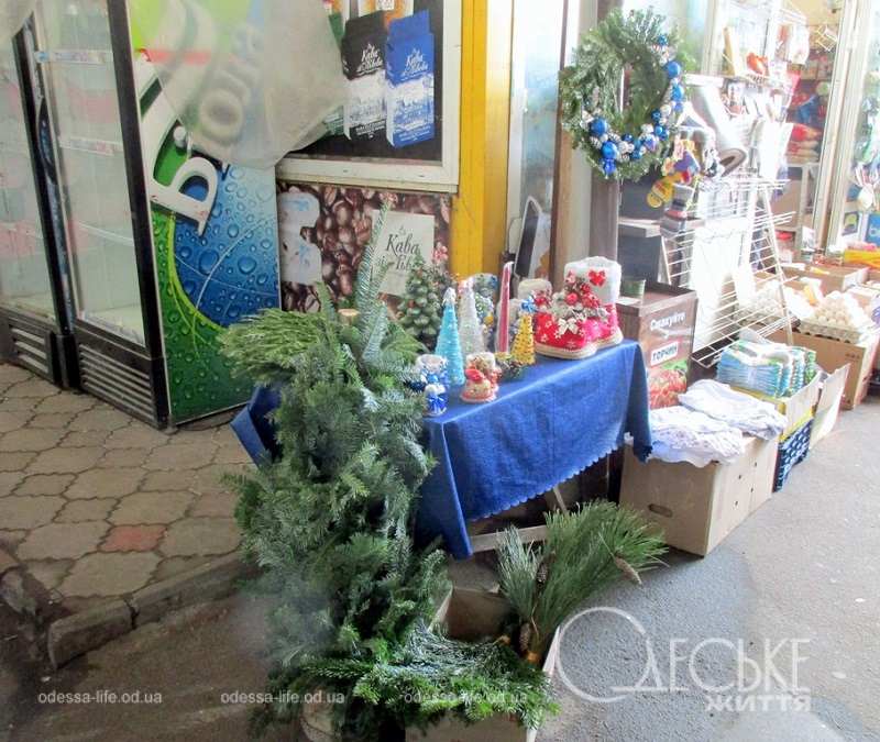 Фото дня в Одессе, продажа елок