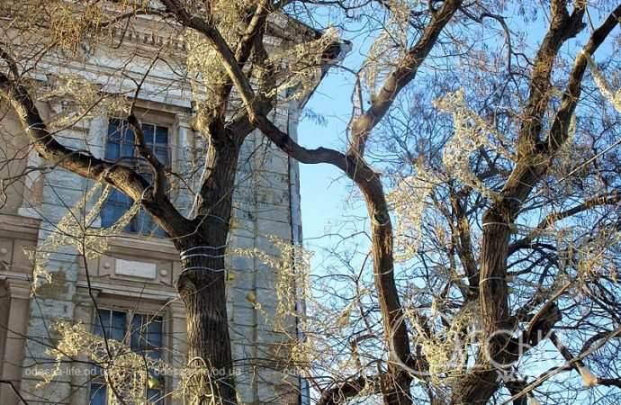 В Летнем театре одесского Горсада