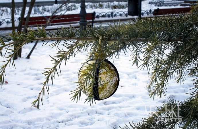В Летнем театре одесского Горсада, игрушка