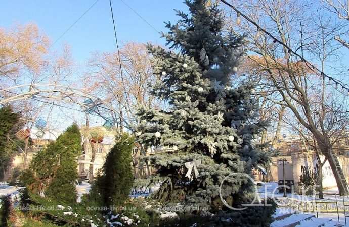 Елка в Горсаду