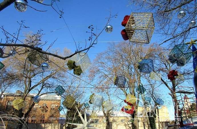 В Летнем театре одесского Горсада, деревья